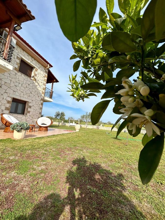 My Bright House *